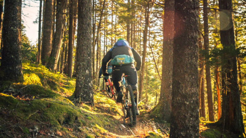 Affittacamere Galet Ledro - La vostra casa di montagna